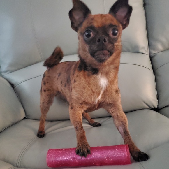 Me - Picture 13 of 17